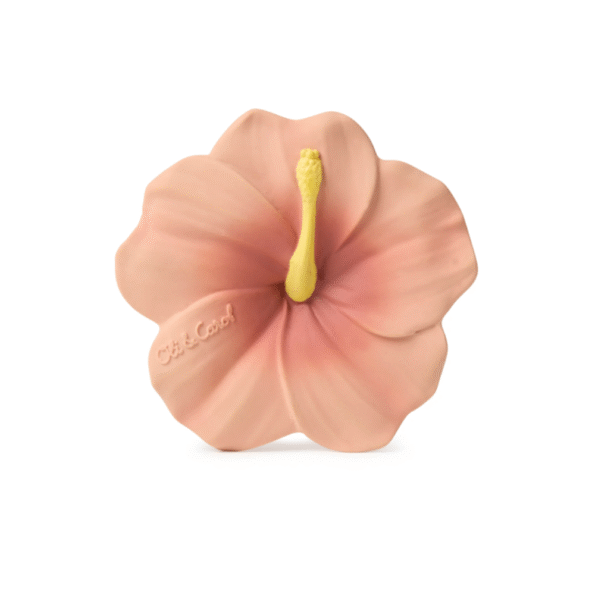 Oli Carol grickalica hibiskus Iris 1
