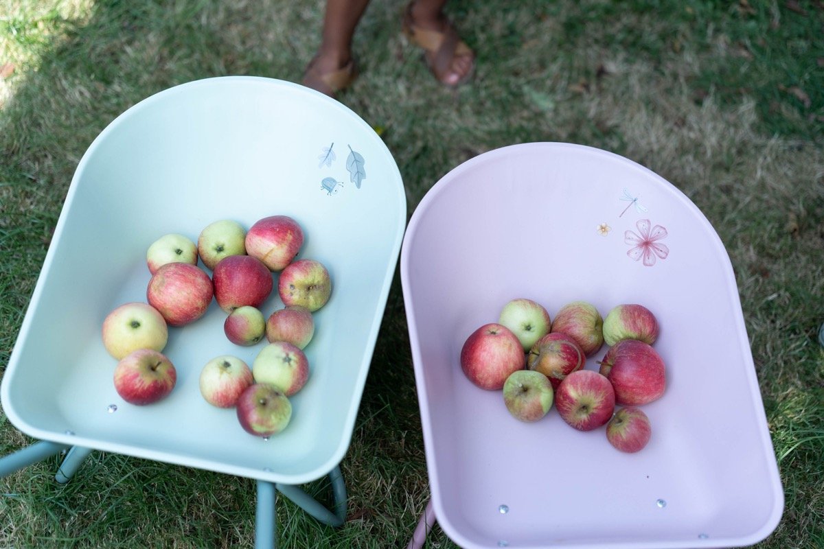 image_34554 Two pastel-colored child-sized wheelbarrows filled with apples sit on a grassy lawn, a person’s feet visible in the background.