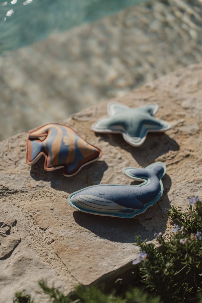 image_41650 Blue whale and two star-shaped plush toys rest on a sunlit rocky shoreline with the sea in the background.